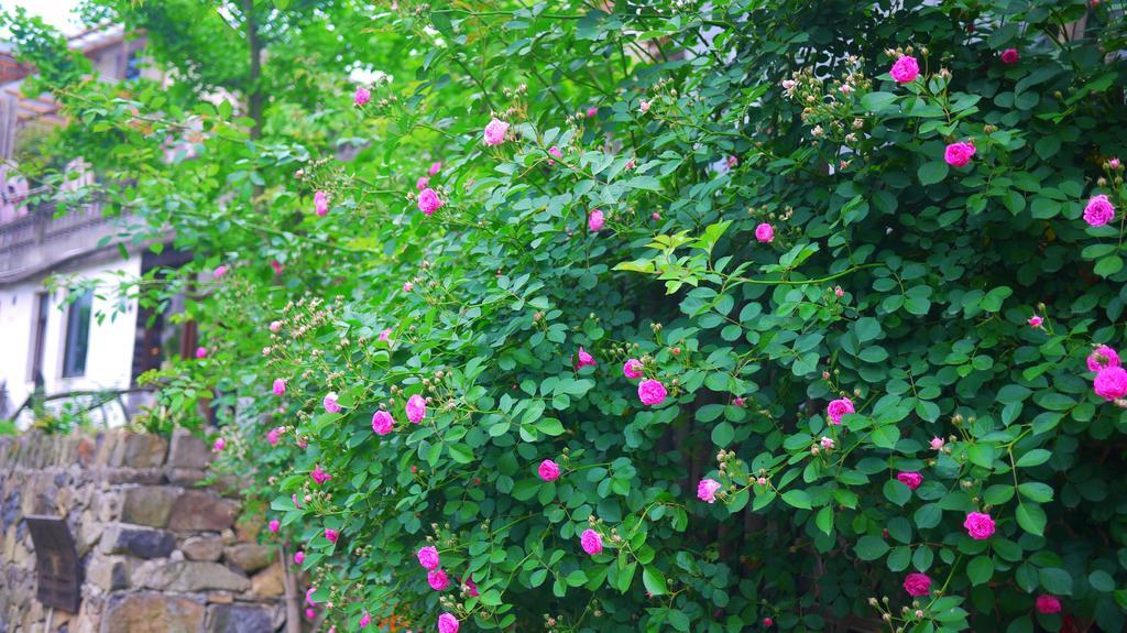 Moganshan Bamboo View Guesthouse Deqing Экстерьер фото