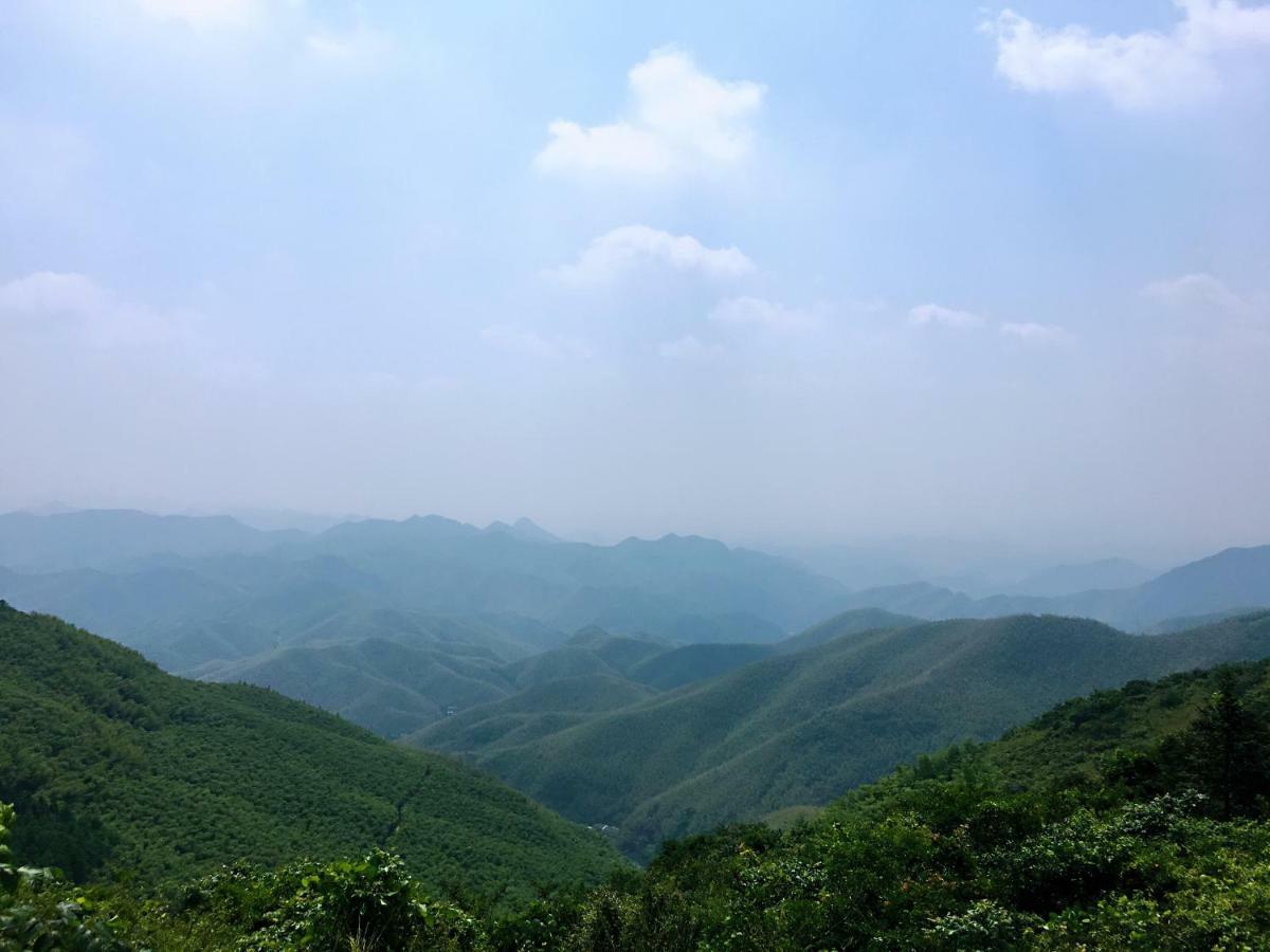 Moganshan Bamboo View Guesthouse Deqing Экстерьер фото