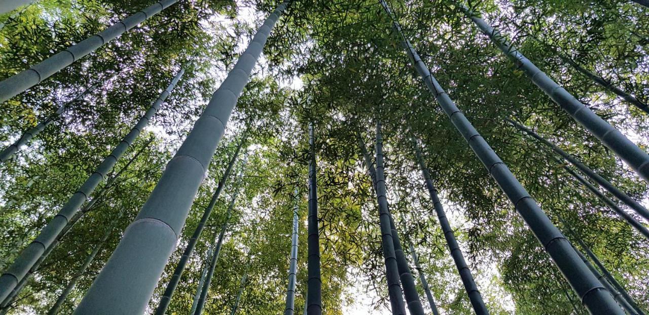 Moganshan Bamboo View Guesthouse Deqing Экстерьер фото